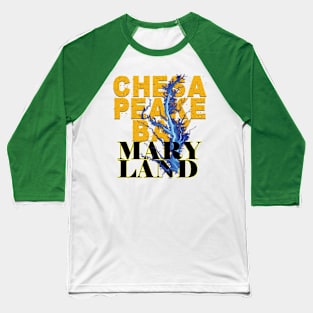 Chesapeake Bay Baseball T-Shirt